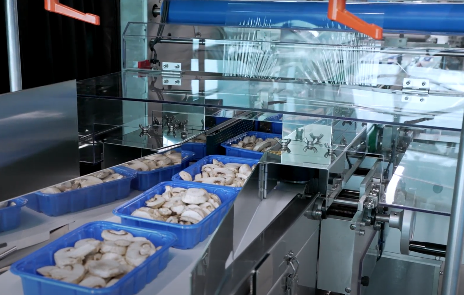 omori mushroom 8500 packaging machine